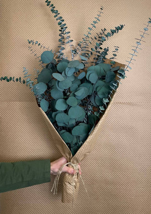 Open image in slideshow, Silver Dollar &amp; Baby Eucalyptus 8 oz. Preserved Bundle
