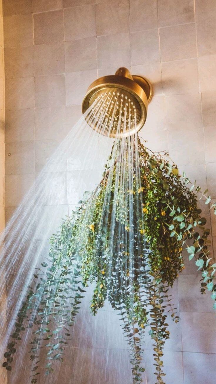 A Skin Expert's Guide to The Everything Shower