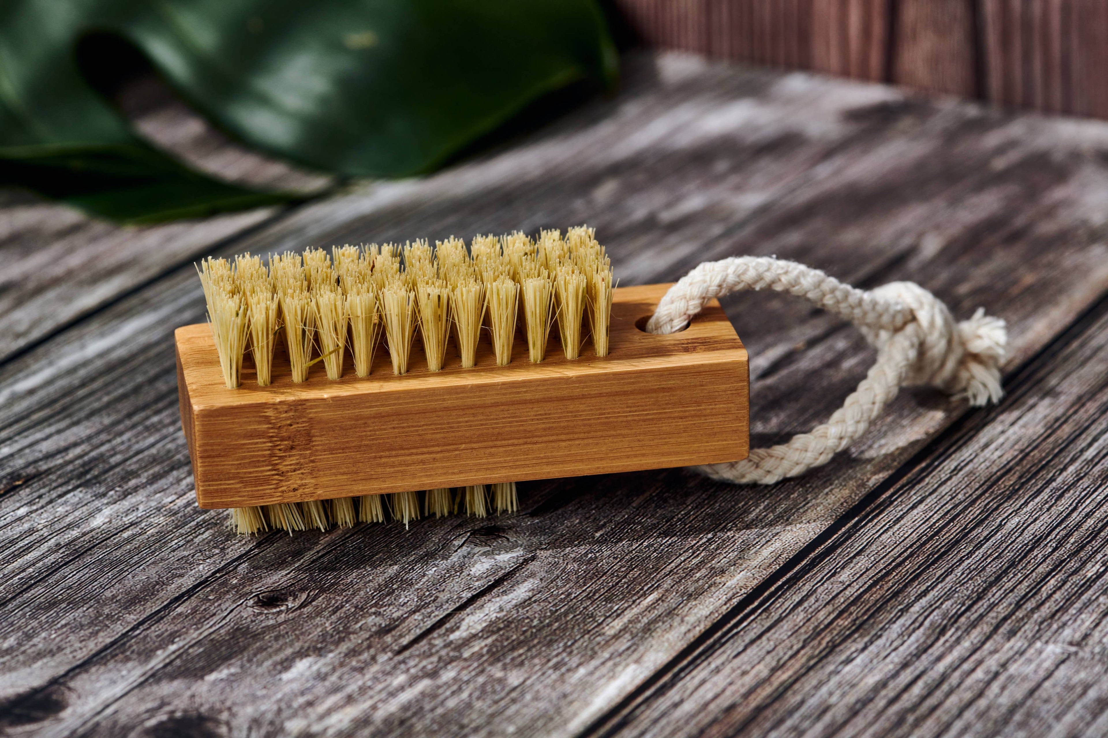 Wood Nail Brush (Plastic Free, Vegan)