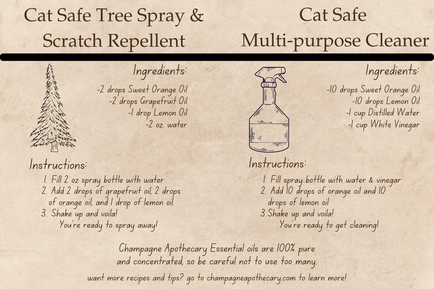 Cat-Safe Essential Oil Kit – Holiday Edition