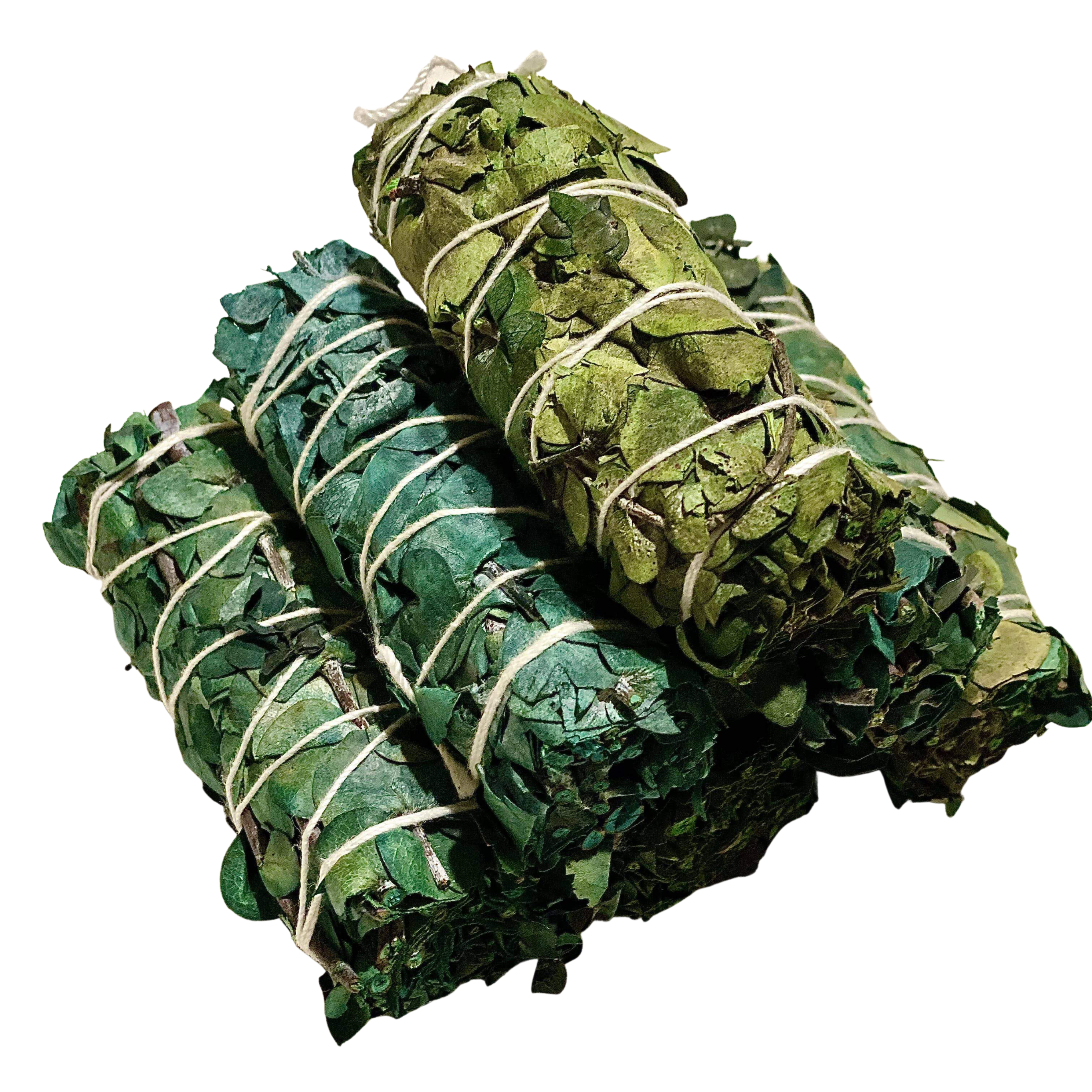 Sage Smudge Bundles (Many Varieties!)