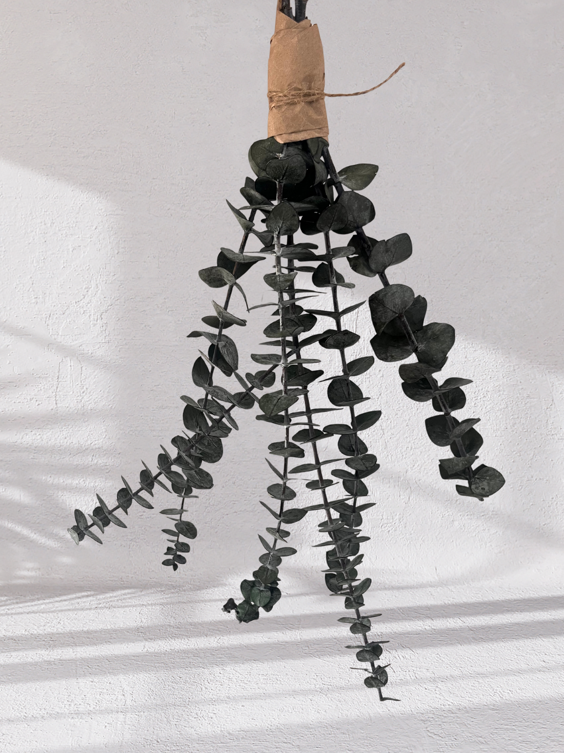 Mini Eucalyptus Bundle