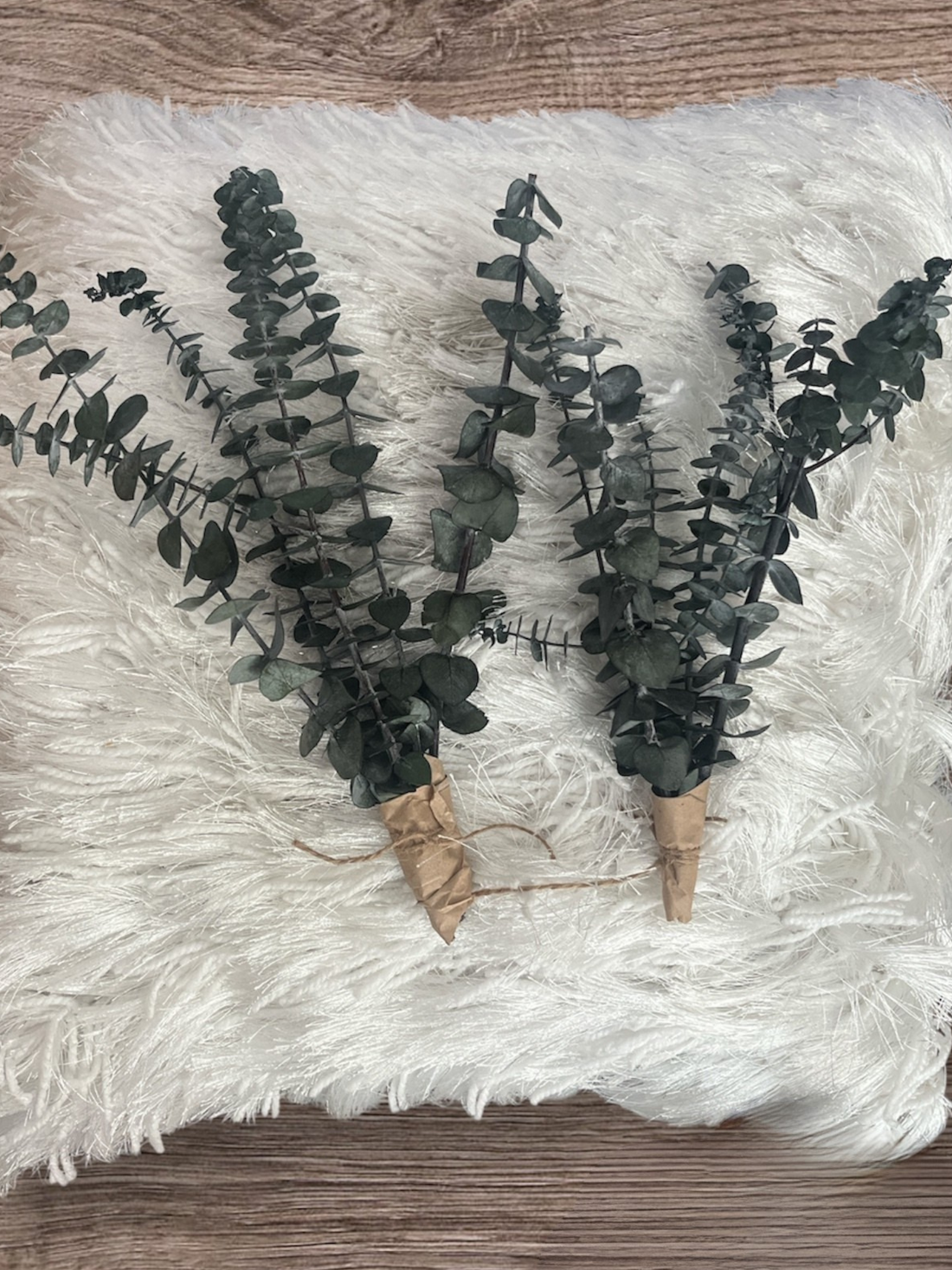 Mini Eucalyptus Bundle