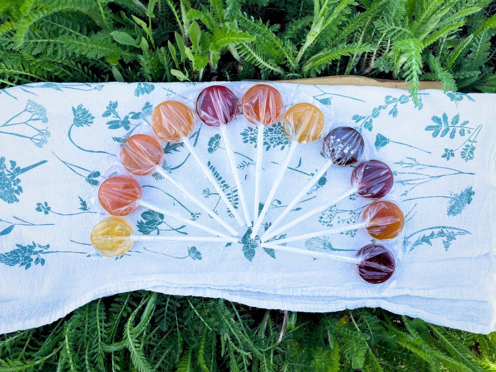 Plants &amp; Planets All Natural Lollipops