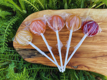 Plants &amp; Planets All Natural Lollipops